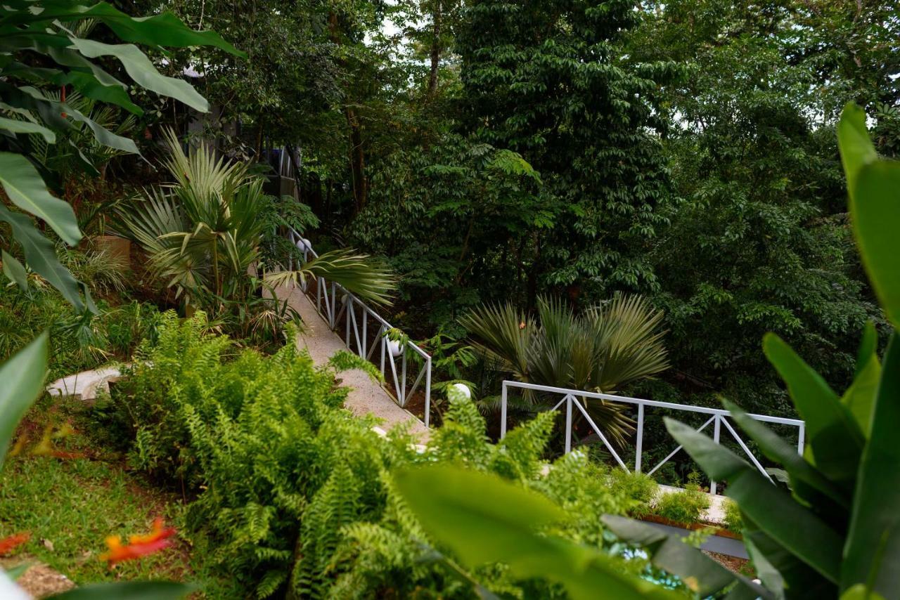 Volcano Gold Loft La Fortuna Eksteriør billede