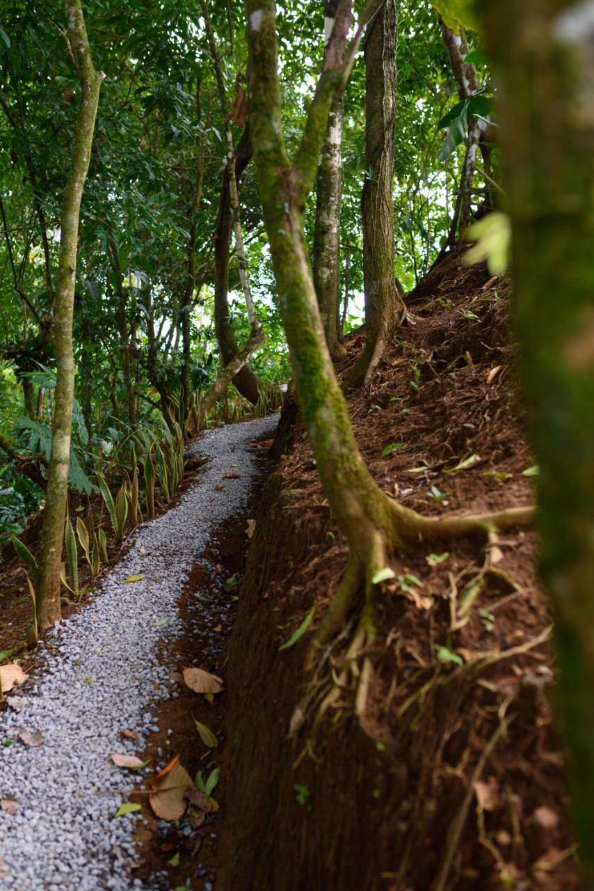 Volcano Gold Loft La Fortuna Eksteriør billede
